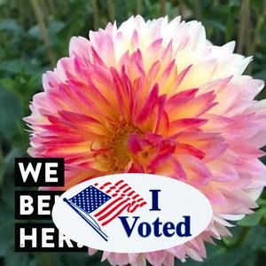 Meet your Posher, Beth ann